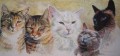 Our Kitties. watercolour. 250 x 700 mm. Not for sale.