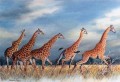 Giraffes Running. Giraffes Running. watercolour. 500 x 700 mm. sold