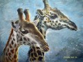 Two Giraffes Giraffe painting