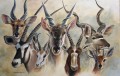 Common Cape Antelope African Antelope painting