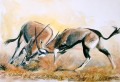 Fighting Gemsbok Fighting Gemsbok. Watercolour. 350 x 500 mm. sold
