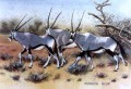 Three Gemsbok Three Gemsbok. Watercolour. 250 x350 mm. sold