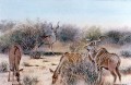 Thornveld Kudus Thornveld Kudus. watercolour. 350 x 500 mm. sold