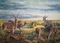 Sunset Kudus Sunset Kudus. Watercolour. 500 x 700 mm. Sold