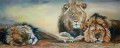 Lions. 'Bachelor Party'. Oil on Canvas. Sold