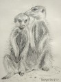 Meercat Drawing Meercat Drawing, pencil. sold