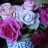 Fragrant Roses, Red & Blue