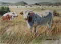 Ngunis, 3-horns Nguni painting
