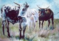 Rooipoort-nguni-sketch Rooipoort-nguni-sketch. watercolour. sold