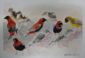 Birds Feeding. Birds Feeding. watercolour. 250 x 350 mm. sold.