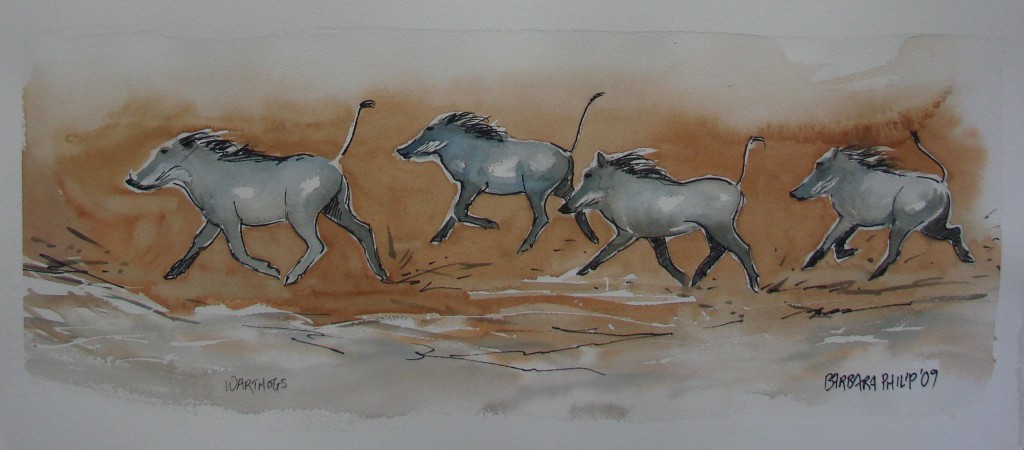 Running Warthog