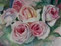 watercolour roses, sketch. pink roses. painting