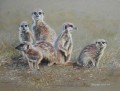 Meercats on grey Meercats on grey. Watercolour & Gouache on Grey Canson Pastel paper. 620 x 430 mm. Sold.