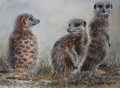 Silvermere Meerkats2 Three Meercats. Watercolour on Saunders Waterford. 340 x 250 mm. Sold