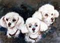 Three Poodles. watercolour & gouache. sold