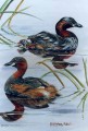 Dabchicks. Dabchicks. watercolour. 170 x 250 mm. sold