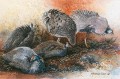 Resting Guineas Resting Guineas. watercolour. 350 x 500 mm. sold