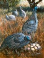 Guinea Fowl Nest 2 Guinea Fowl Nest 2. watercolour & gouache. 620 x 430 mm. sold