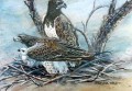 Martial Eagles Martial Eagles. watercolour. 250 x 350 mm. sold