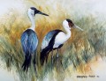 Wattled Cranes Wattled Cranes. watercolour. 250 x 170 mm. Sold