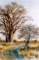 Baobab Road Baobab Road. watercolour. 700 x 500 mm. sold