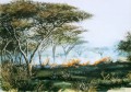 Umbrella Thorns & veld fire. Umbrella Thorns & veld fire. watercolour. 500 x 700 mm. sold.
