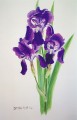 Irises Irises. watercolour. 500 x 700 mm. sold