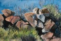 Dassies Dassies painting