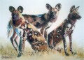 Wild Dogs Wild Dogs. Watercolour. 350 x 250 mm. sold