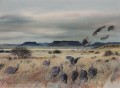 Karoo landscape with Guinea Fowl, Karoo landscape with Guinea Fowl, 21may10. Watercolour, 700 x 500mm. Sold