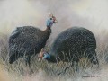 2guineas Painting of Guinea Fowl