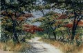 Msasa Road Msasa Road. watercolour. 350 x 500mm. sold