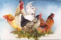 Garden Fowls Garden Fowls. watercolour. 350 x 500 mm. sold