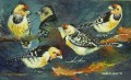 Study of the Crested Barbet Painting of Crested Barbets