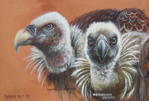 vulture painting