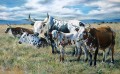 Mondplaas Ngunis revisited. Mondplaas Ngunis revisited. Oil on Canvas. 953 x 1520 mm.