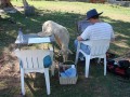 Day 9. One curious sheep ! Day 9. One curious sheep !
