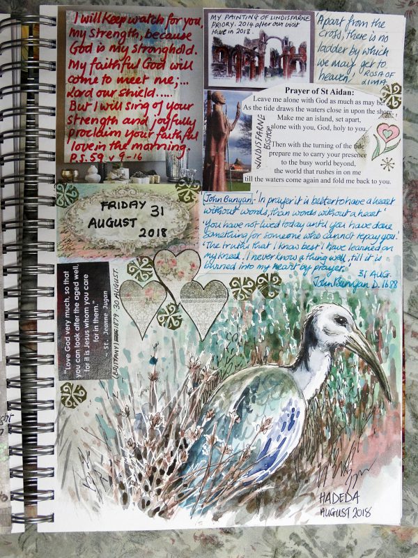 Hadeda in the garden, journal page