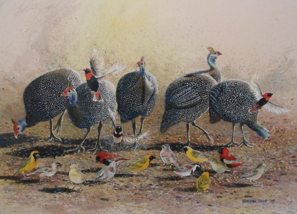 Guinea Fowl and Weavers. painting