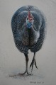 Guinea Fowl painting.