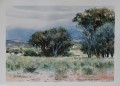 Painting of Blue Gum trees