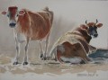 Painting of Jersey cows