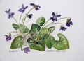Painting of Violets
