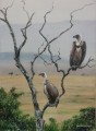 Maasai Mara Whitebacked Vultures