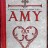Amy's Book, cover