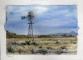 Windmill & Karoo