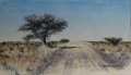 Karoo road