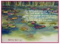Lily Pond. & Numbers 6 : 24 - 26 verse.