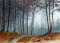 Road through the pine Forest, Buffelskloof,